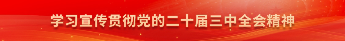 學(xué)習(xí)宣傳貫徹黨的二十屆三中全會(huì)精神