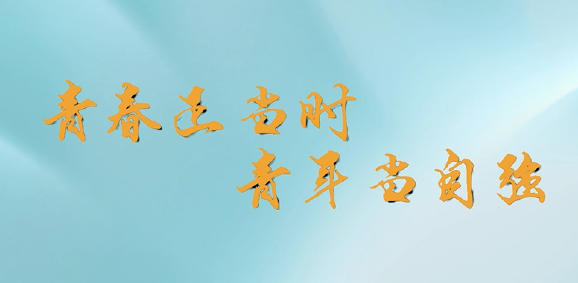 綻放青春，五四系列：資產(chǎn)運營中心